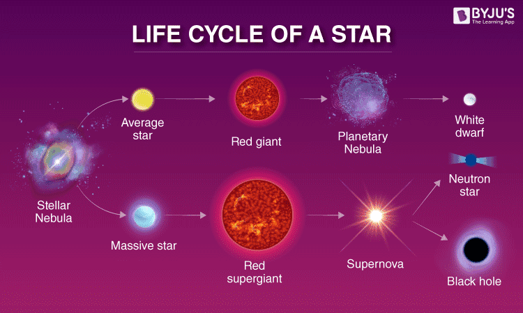 The lifecycle of a star